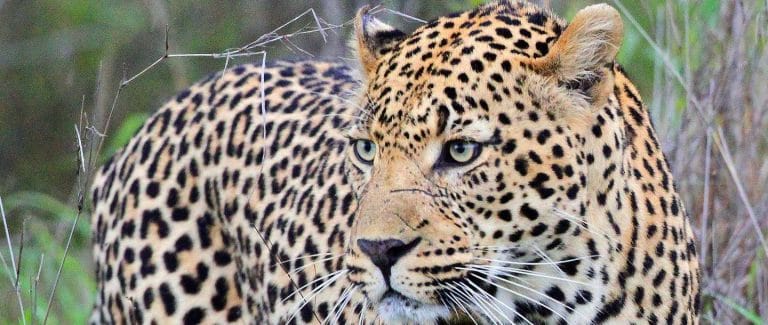 Quando andare in Sudafrica: la guida mese per mese