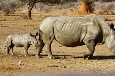 viaggi-namibia-destinazioneafrica - Destinazione Africa