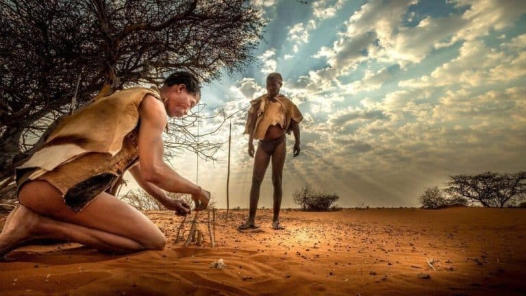 Cosa vedere in Namibia?