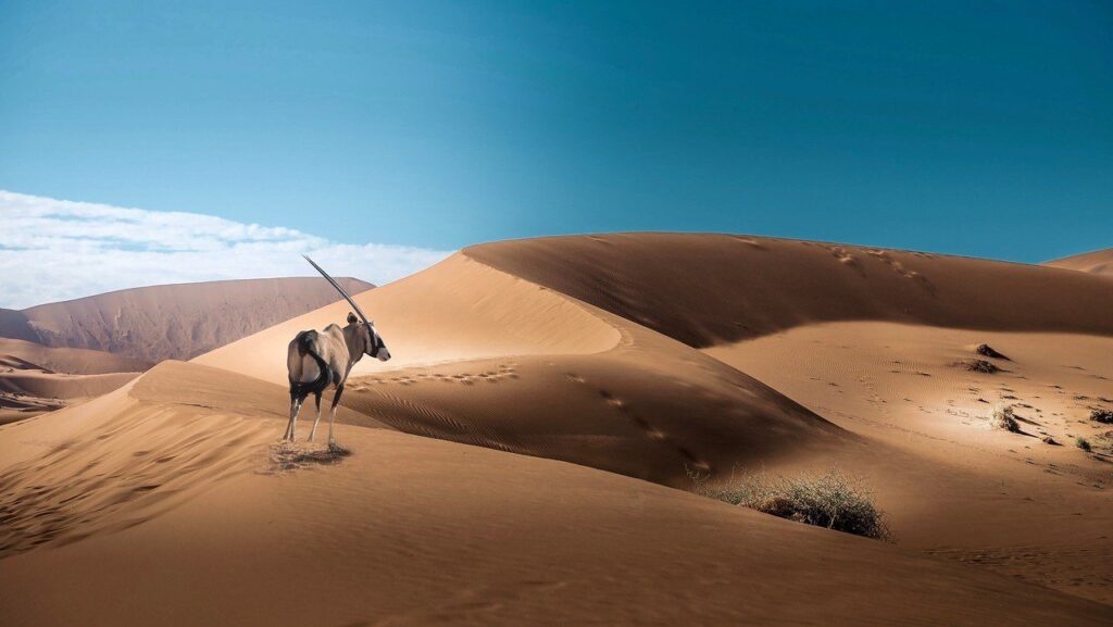 Deserto di Sossuvlei