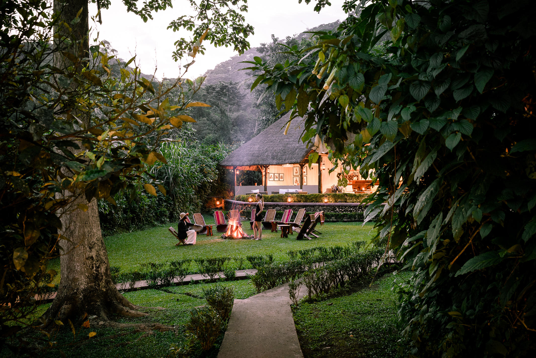 Gorilla Forest Lodge — sezione introduzione