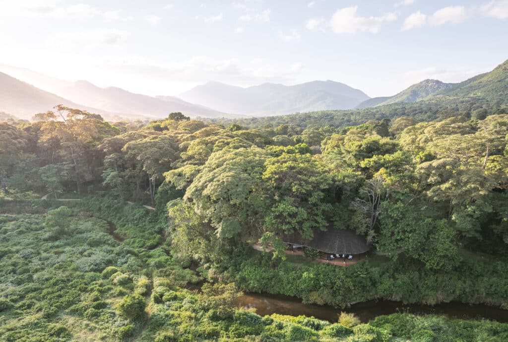 Aerial view of dense green forest with a winding river at the bottom and distant mountains under a pale sky.