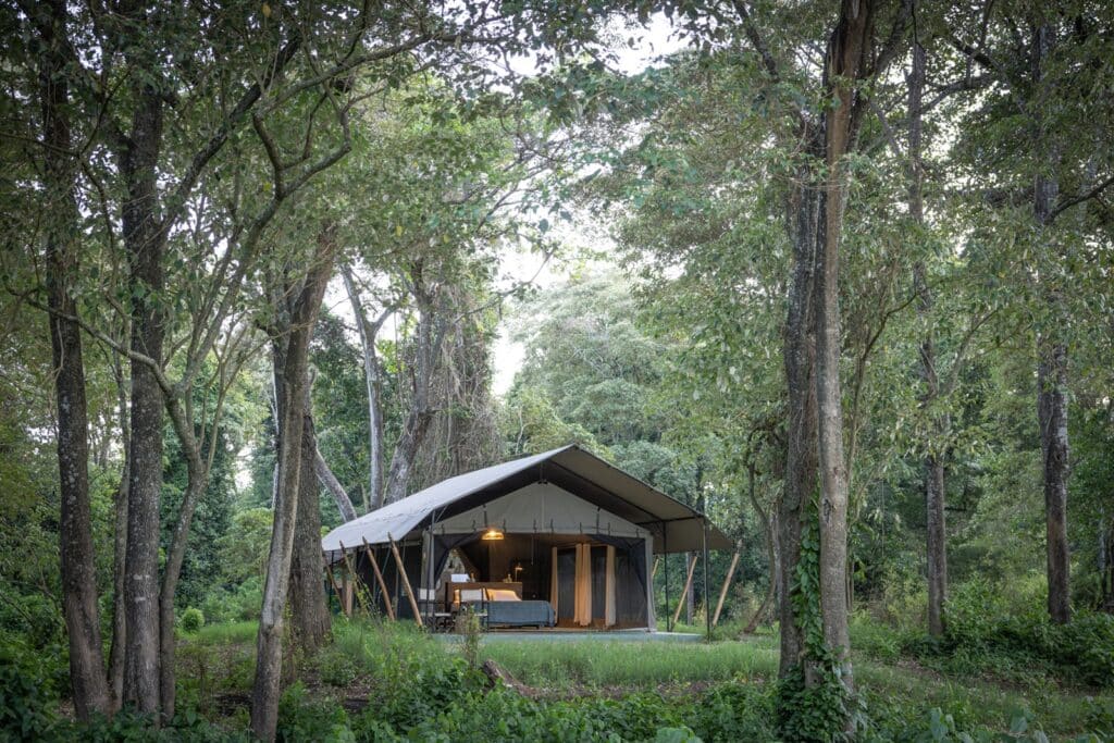 Kitich Forest Camp — foto galleria 1