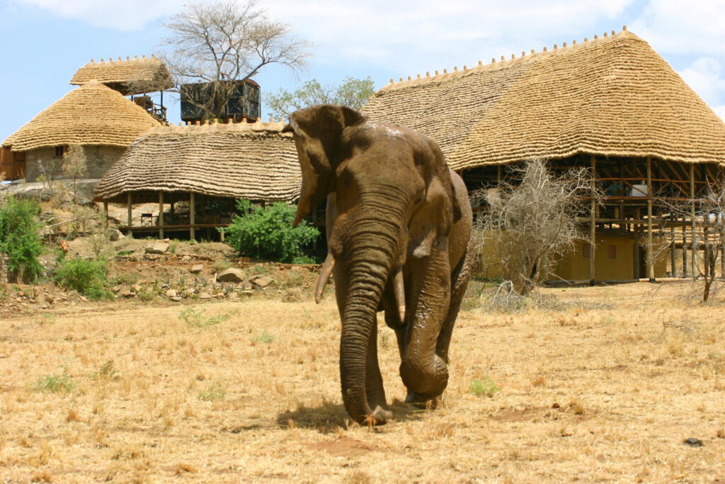 Apoka Safari Lodge — foto galleria 1