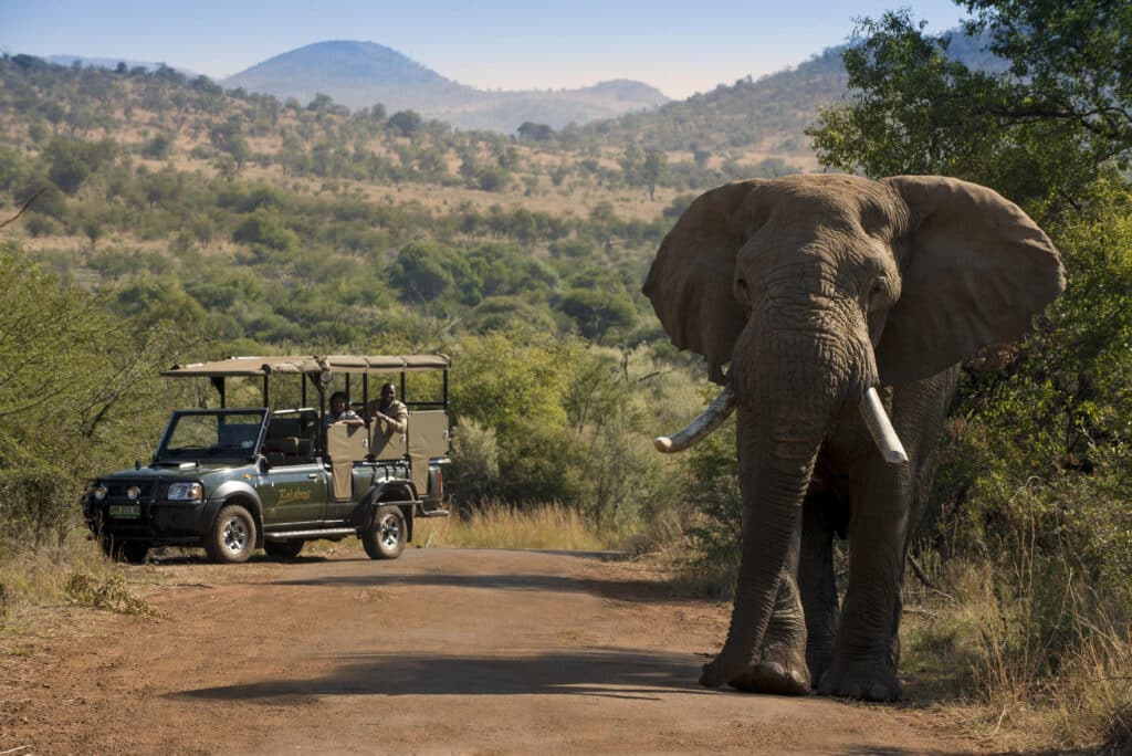 Bakubung Bush Lodge — foto galleria 1