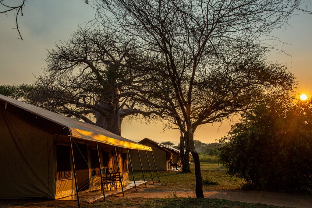 Baobab Camp Tarangire — foto galleria 3