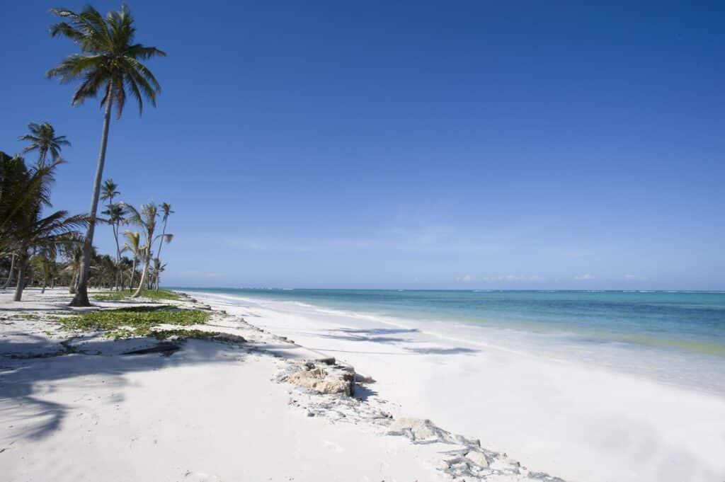 Baraza Resort & Spa — foto galleria 2