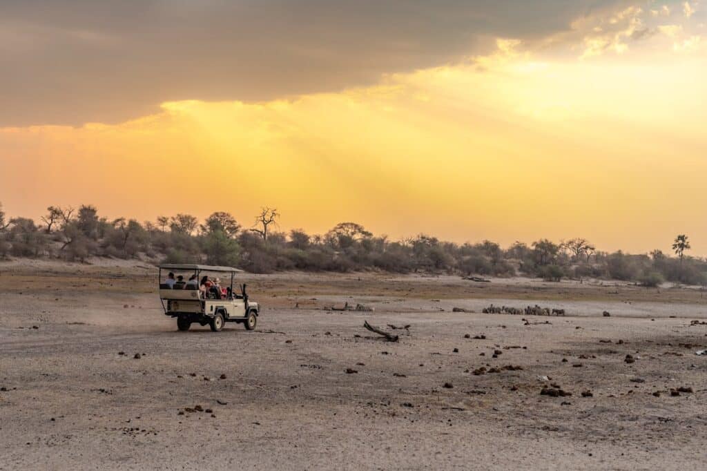 Boteti River Camp — foto galleria 2