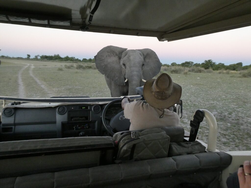 Bush Ways Botswana — foto galleria 4