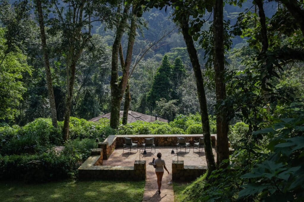 Bwindi Lodge — foto galleria 1
