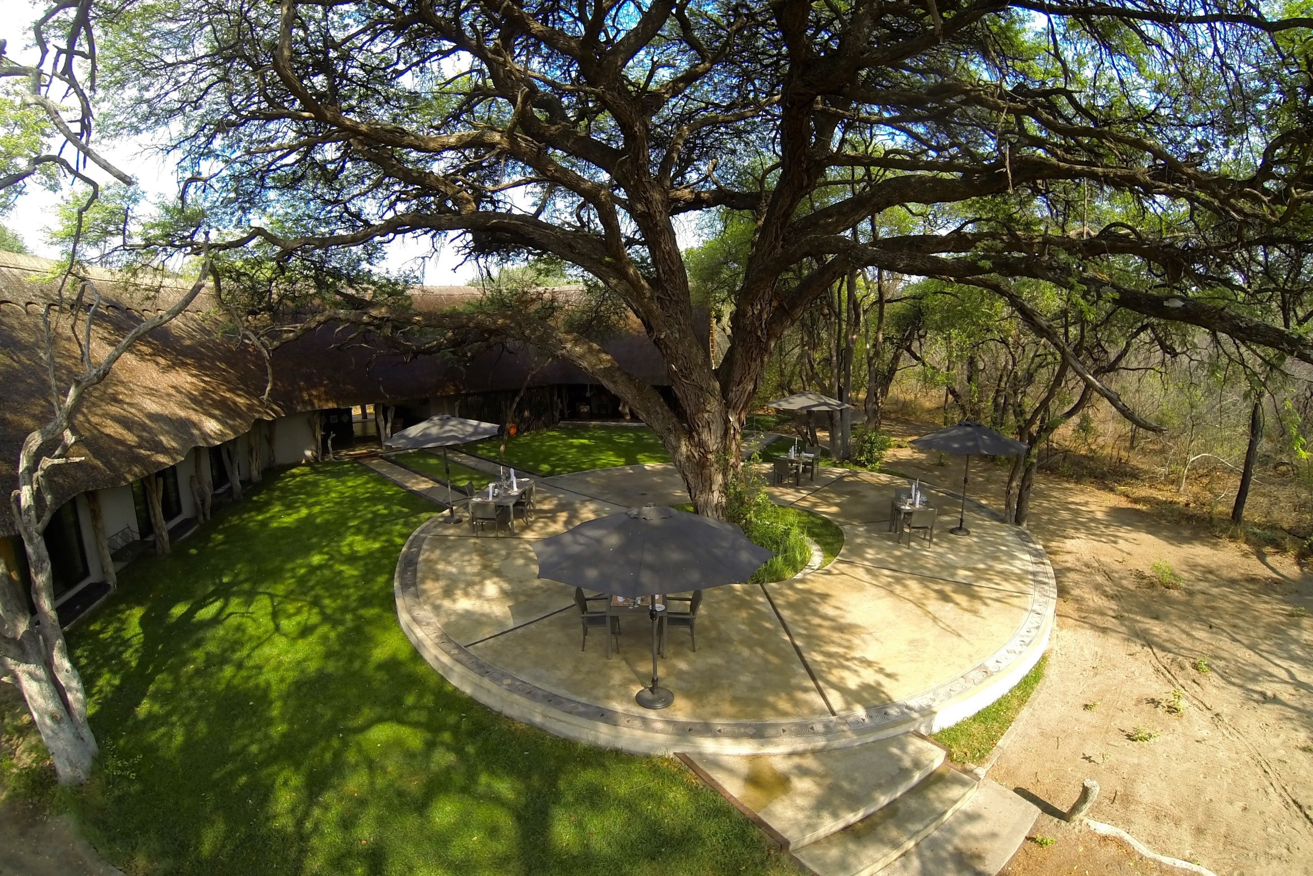 Camelthorn Lodge — foto principale