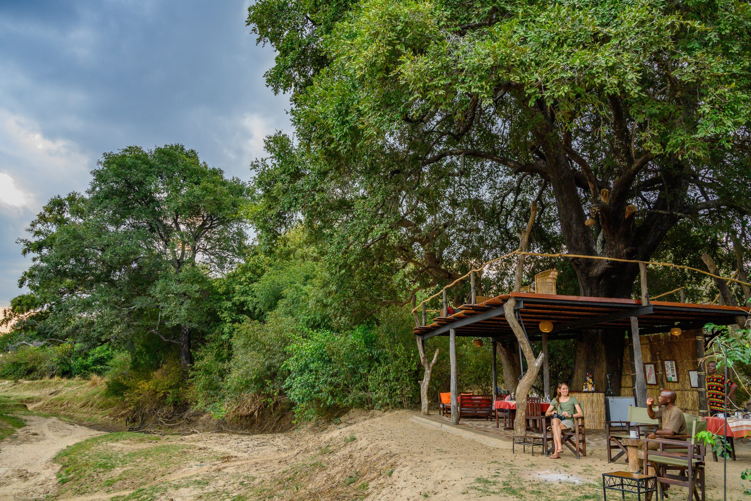 Chikoko Tree Camp — foto principale