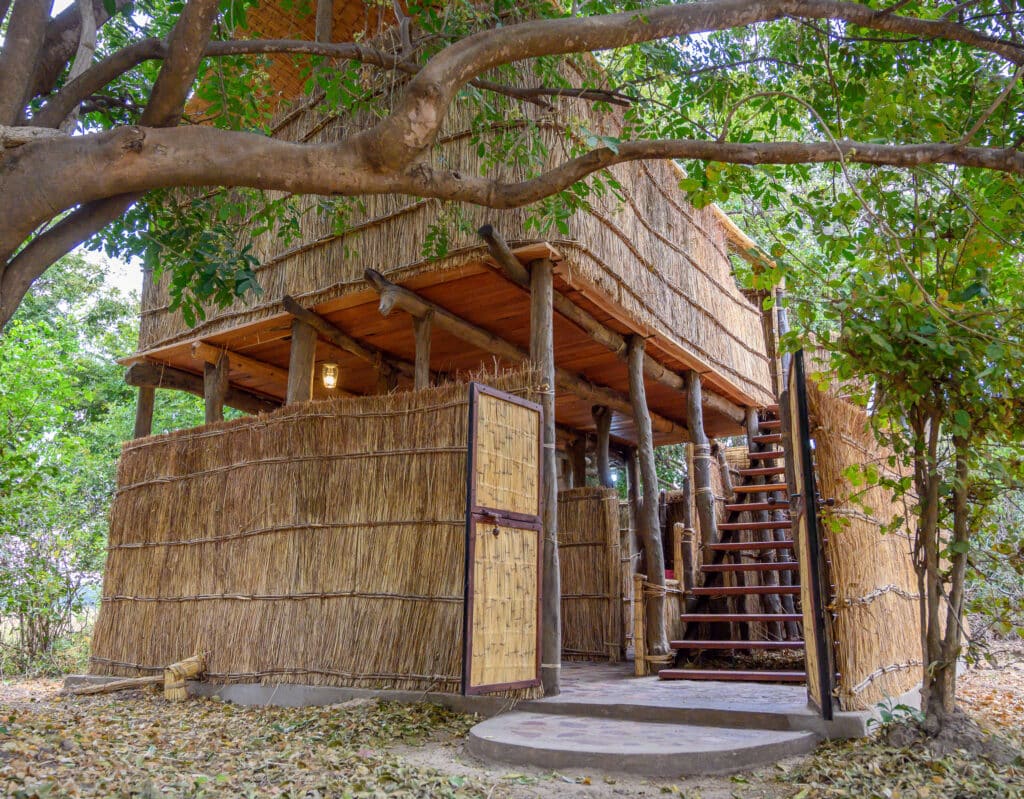 Chikoko Tree Camp — foto galleria 3