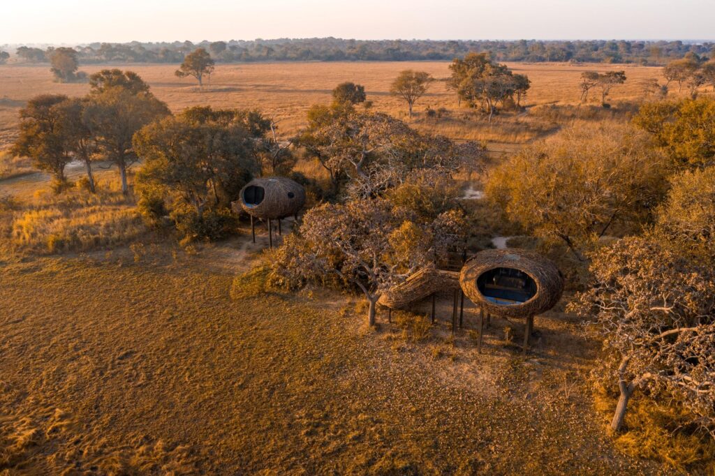 Chisa Busanga Camp — foto galleria 1