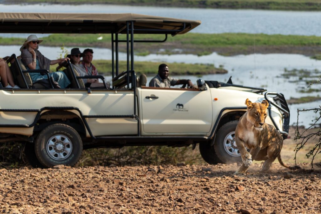 Chobe Elephant Camp — foto galleria 2