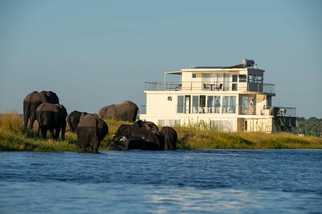 Chobe Princess — foto galleria 2