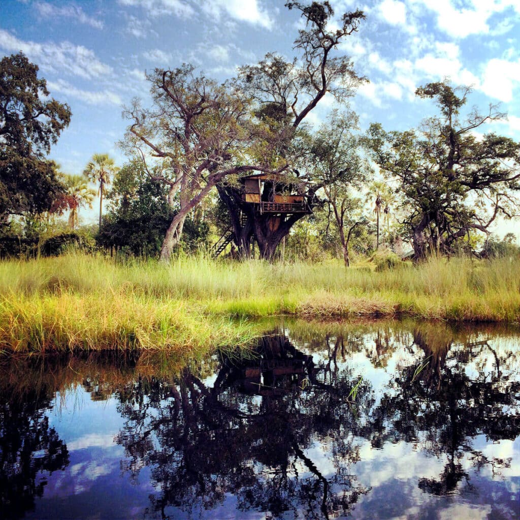Delta Camp — foto galleria 2