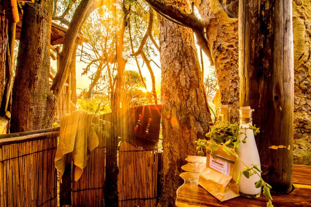 Delta Camp — foto galleria 3