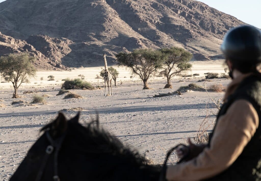 Desert Homestead Lodge — foto galleria 3