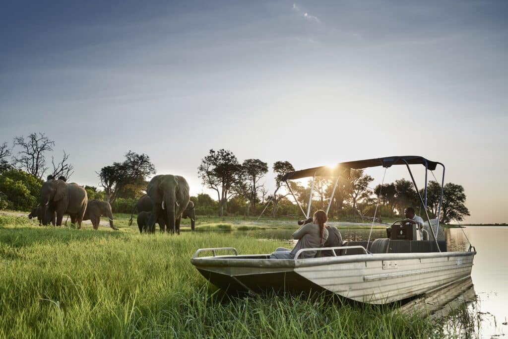 Chobe Chilwero Lodge — foto galleria 4