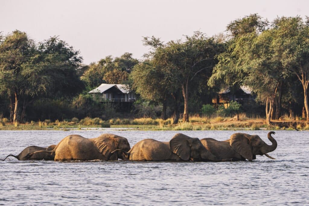 Dulini Anabezi Camp — foto galleria 2