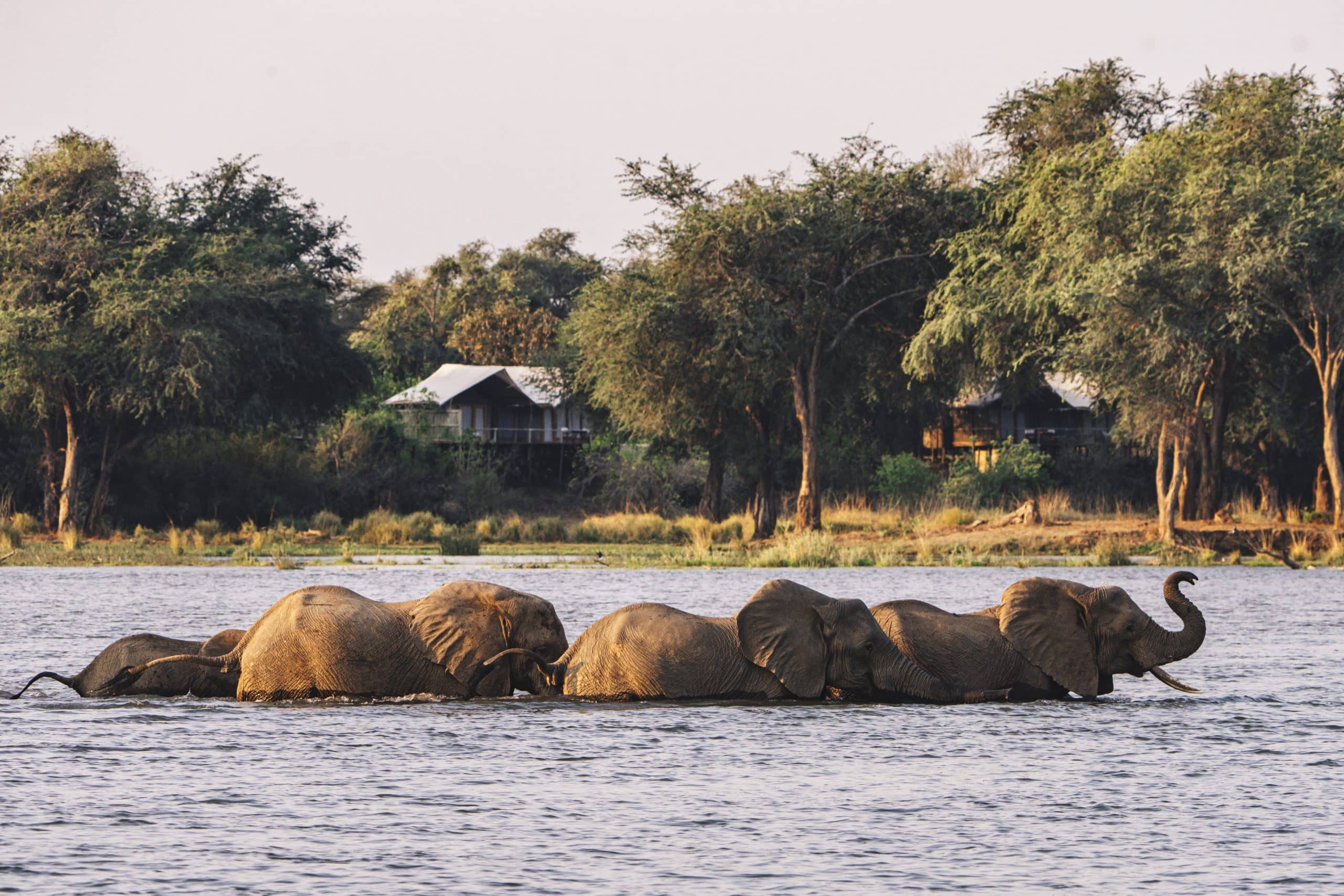 Dulini Anabezi Camp — foto galleria 2