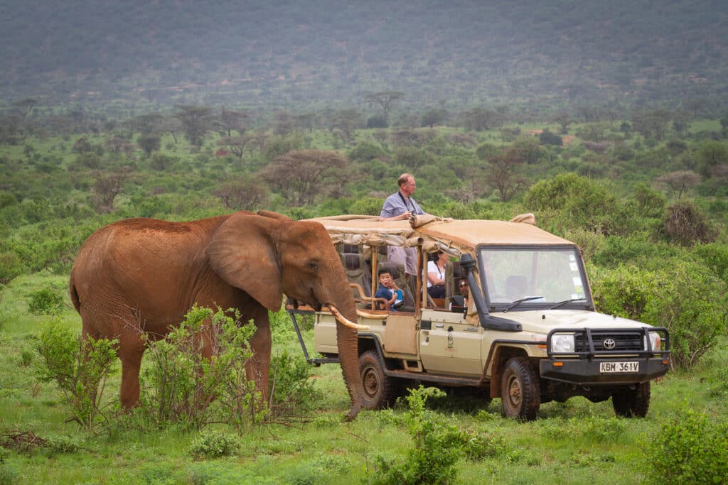 Elephant Bedroom Camp — sezione atmosphere