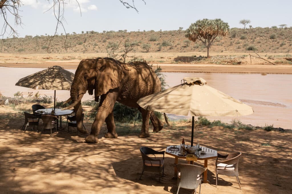 Elephant Bedroom Camp — foto galleria 2