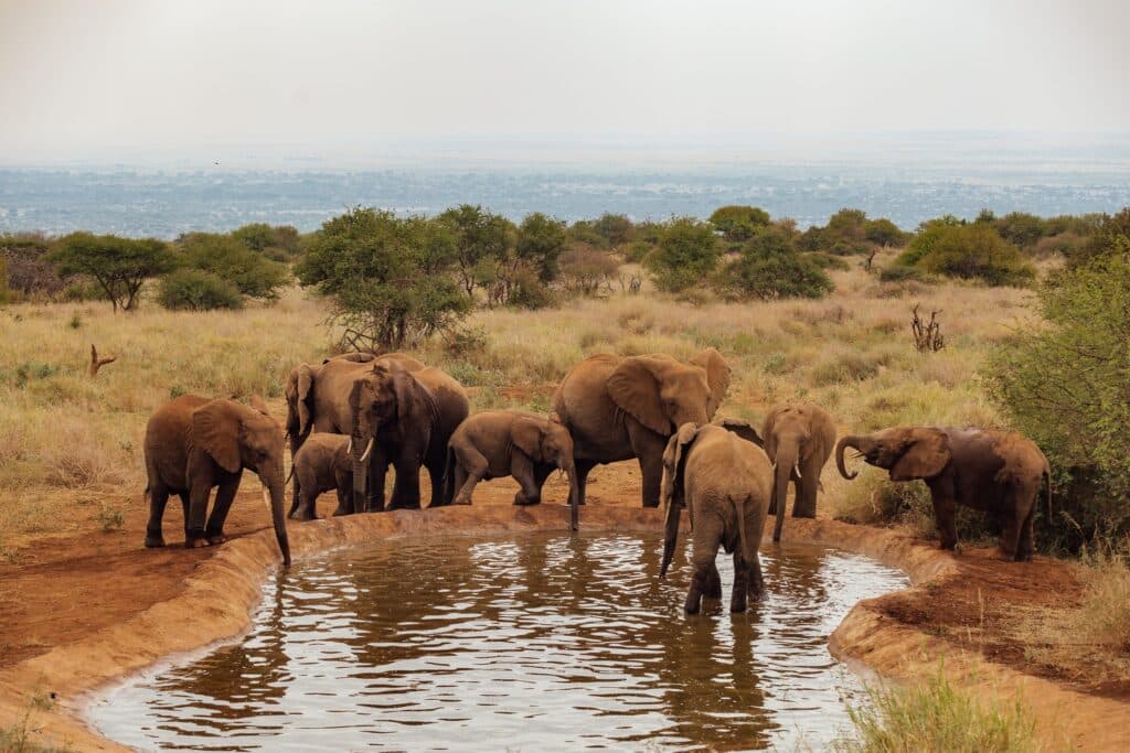 Elephant Gorge Camp — foto galleria 1