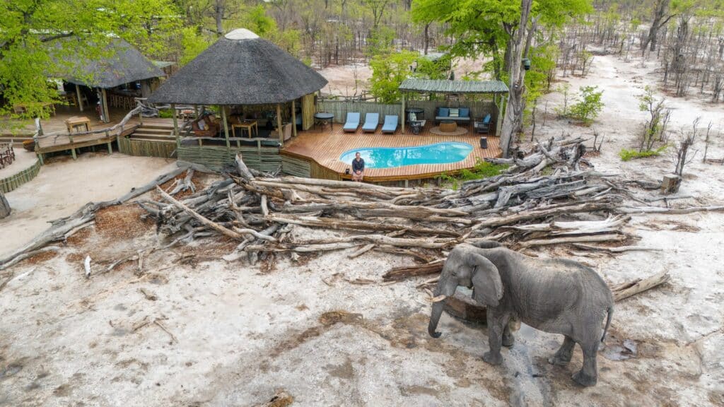 Aerial view of a tropical lodge with thatched-roof huts, a wooden deck and pool, lounge chairs, surrounded by trees and driftwood with elephants on the sandy shore.