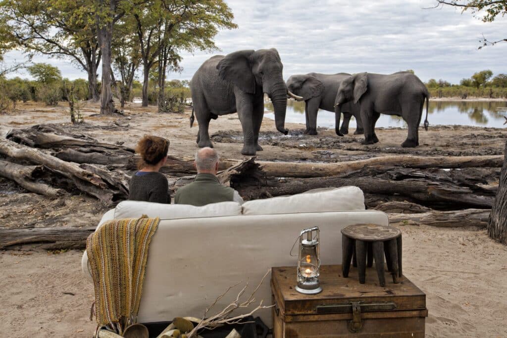Elephant Pan — foto galleria 5