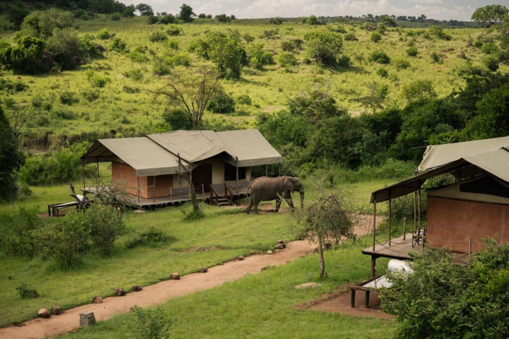 Elewana Serengeti Migration Camp — foto galleria 3