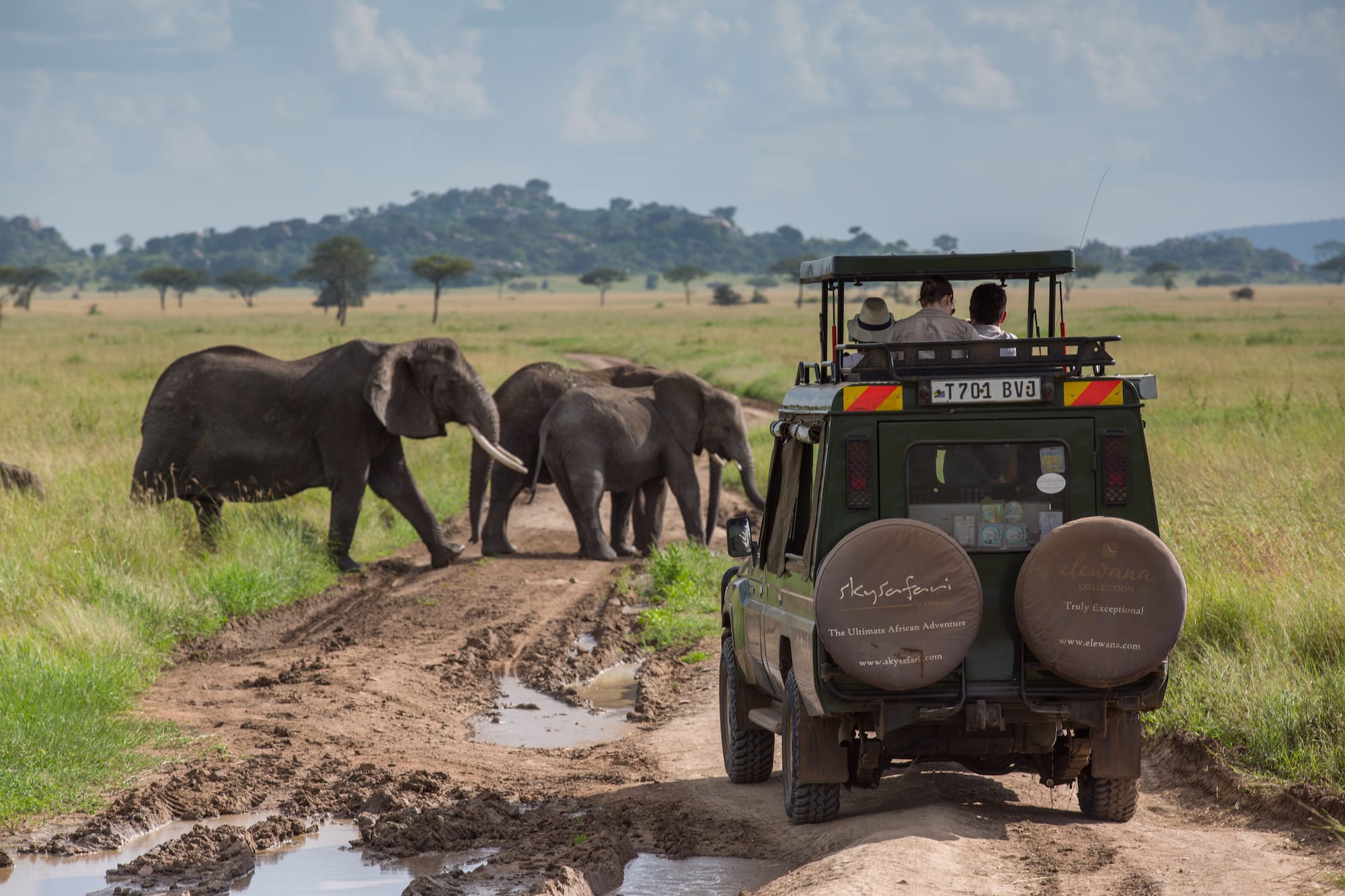 Elewana Serengeti Pioneer Camp — foto galleria 3