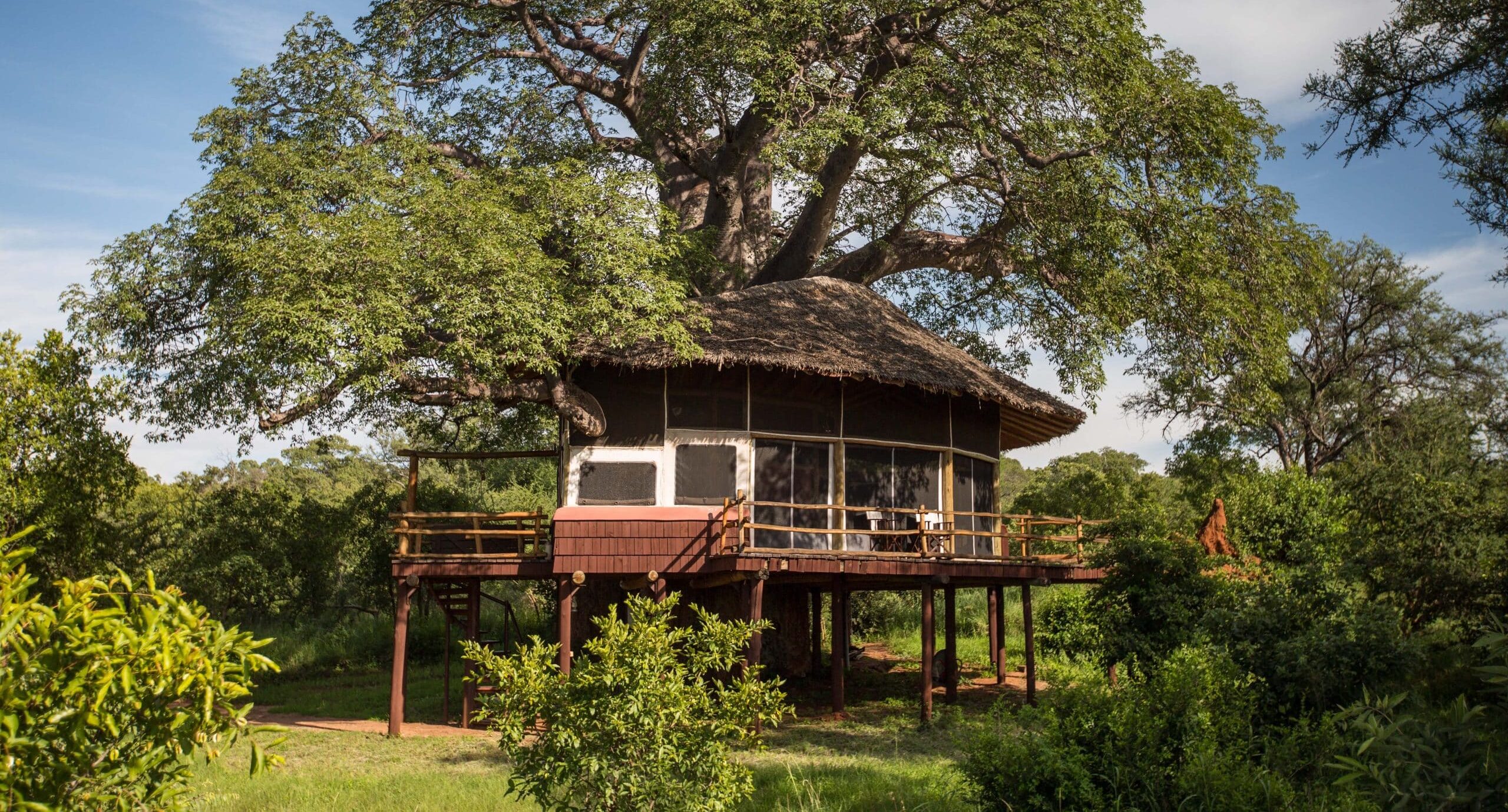 Elewana Tarangire Treetops — foto principale