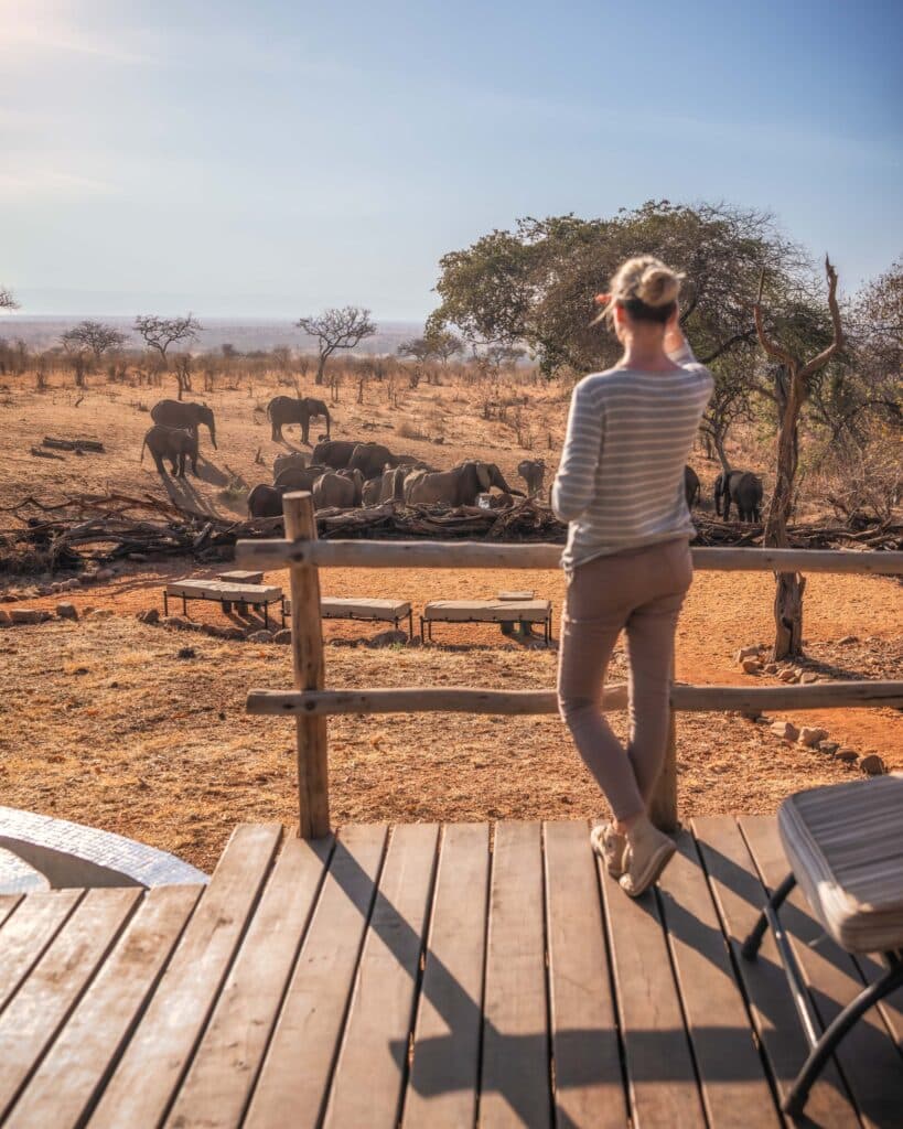 Elewana Tarangire Treetops — foto galleria 2