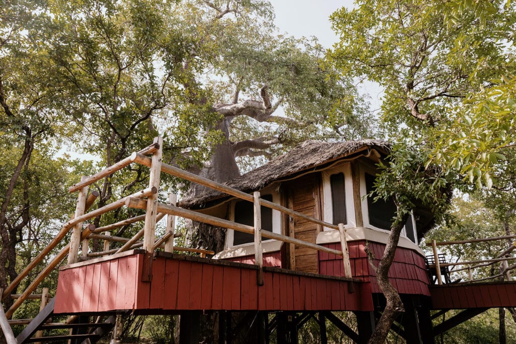 Elewana Tarangire Treetops — foto galleria 3