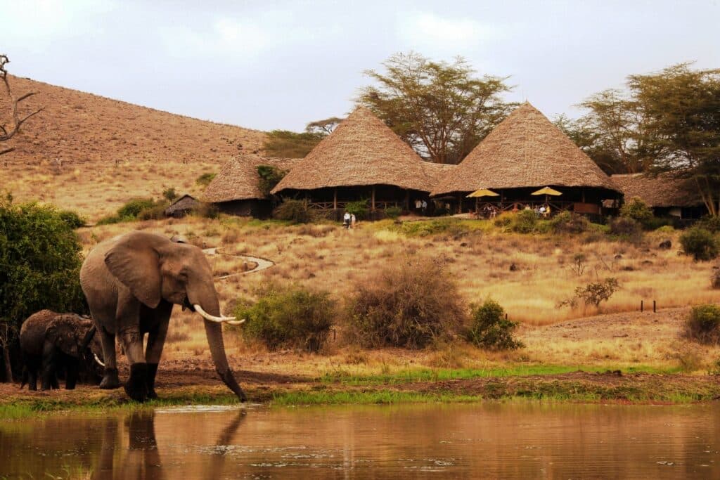 Elewana Tortilis Camp — foto galleria 2
