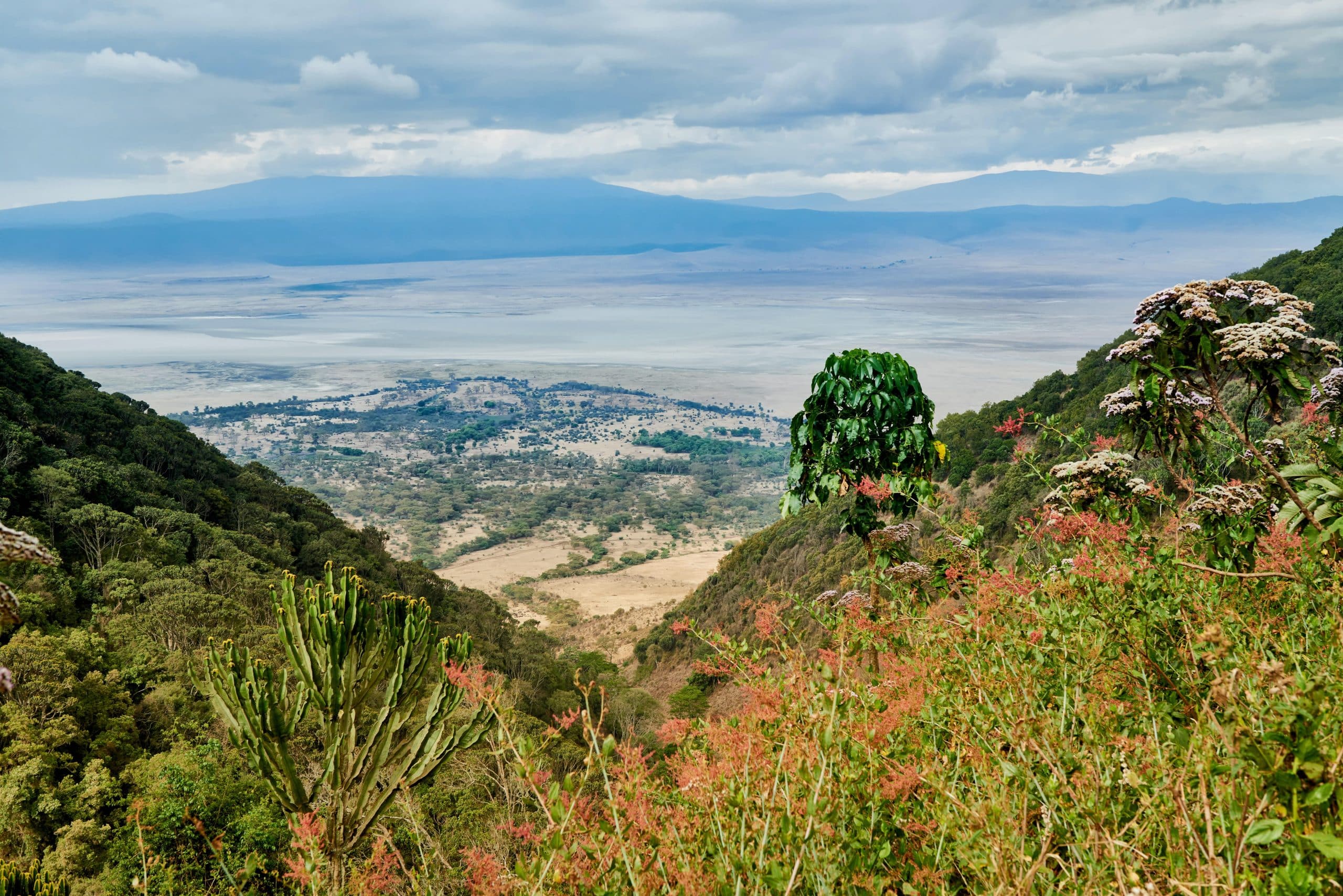Laba Laba Ngorongoro Crater — foto principale