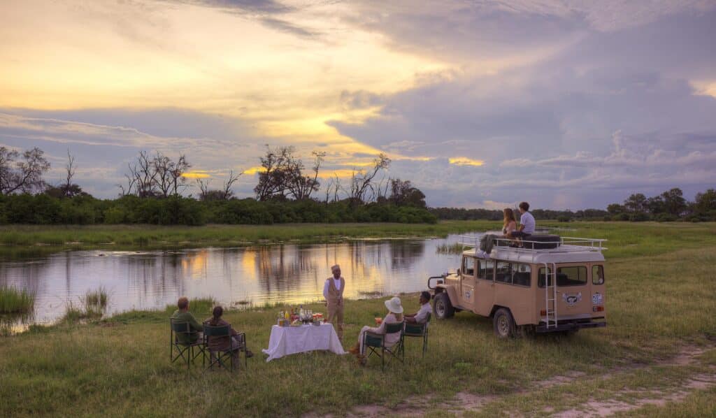 Feline Fields Vintage Camp — foto galleria 3