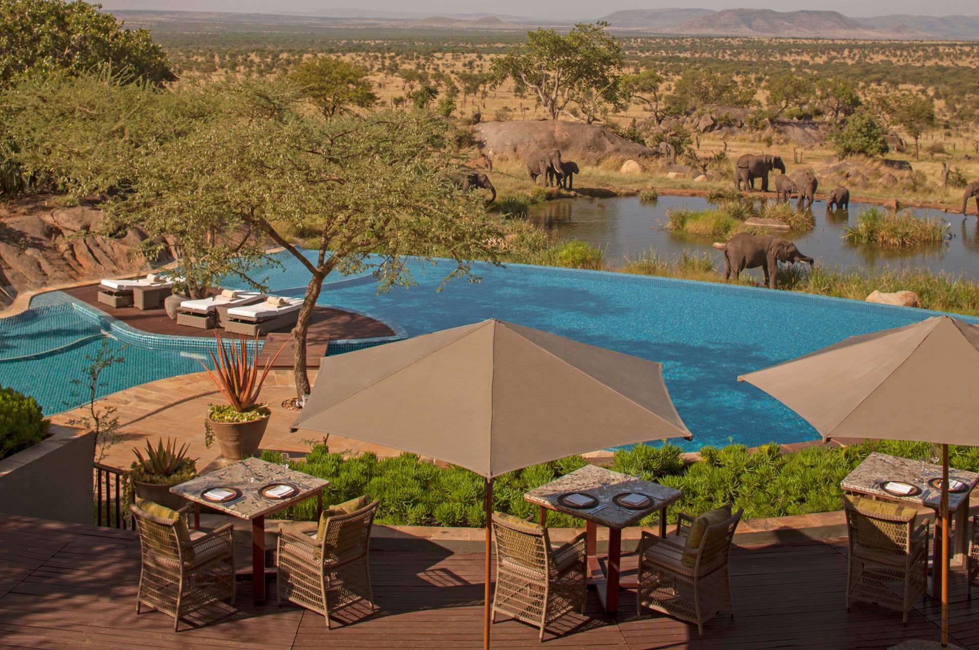Four Seasons Safari Lodge Serengeti — foto principale