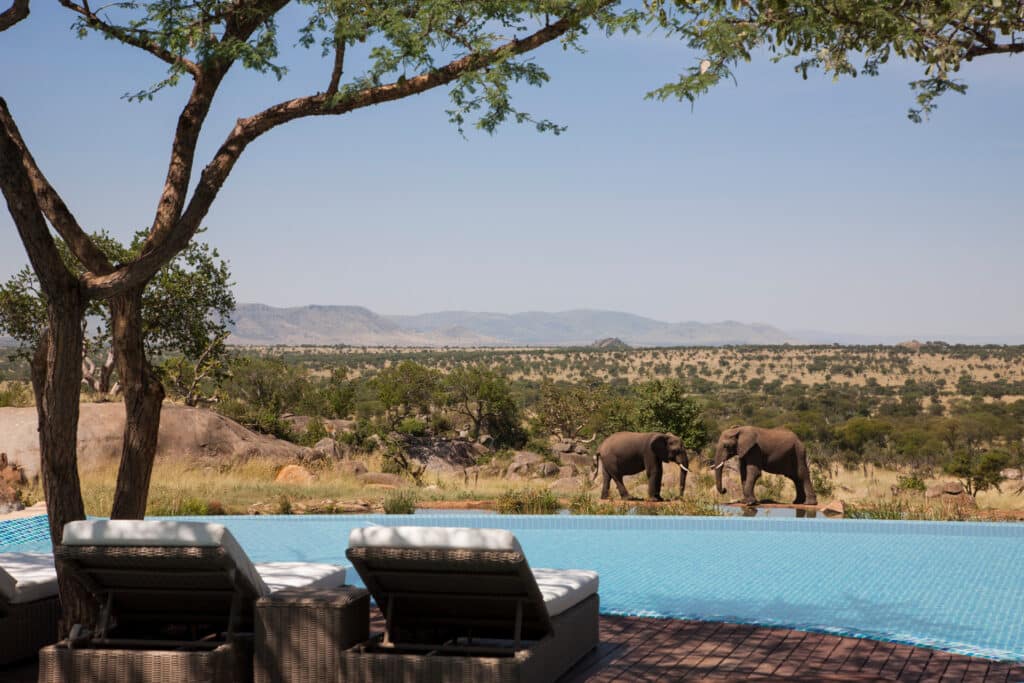Four Seasons Safari Lodge Serengeti — foto galleria 3