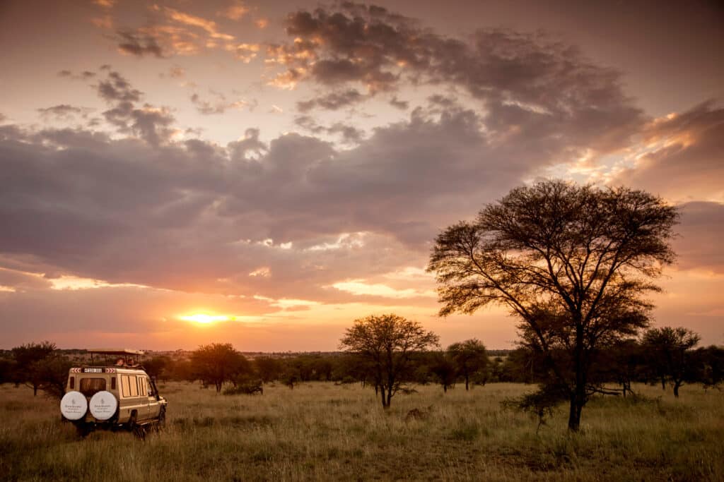 Four Seasons Safari Lodge Serengeti — foto galleria 6
