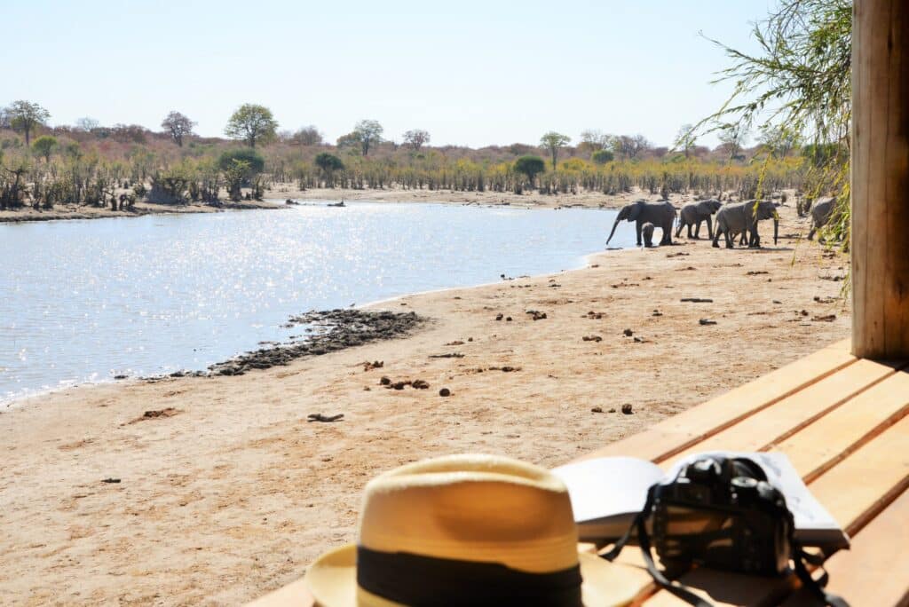 Ghoha Hills Savuti Lodge — foto galleria 2