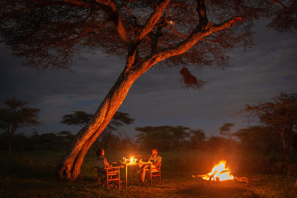 Gnu Migration Camps — sezione atmosphere