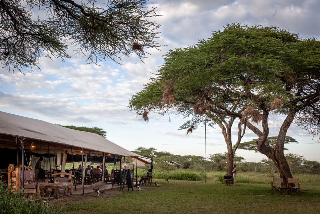 Gnu Migration Camps — foto galleria 5