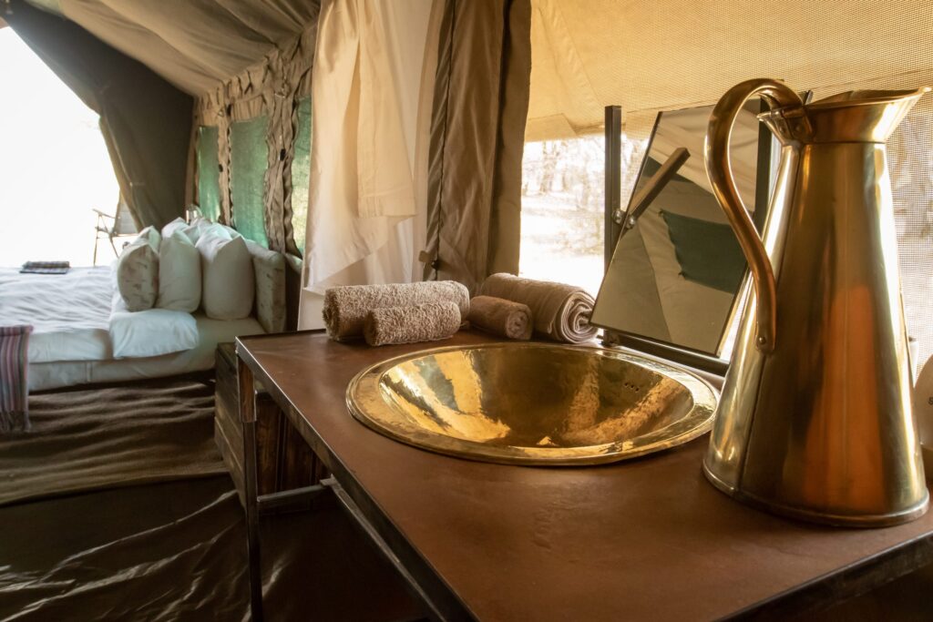 Golden Africa Safaris — sezione introduzione