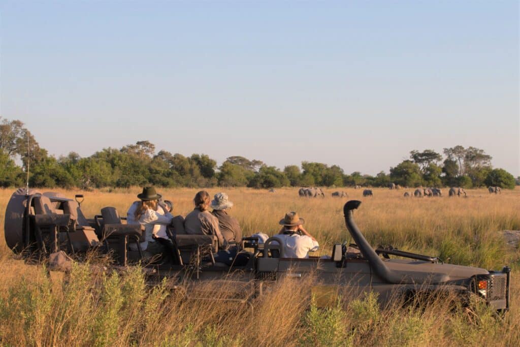 Golden Africa Safaris — foto galleria 3