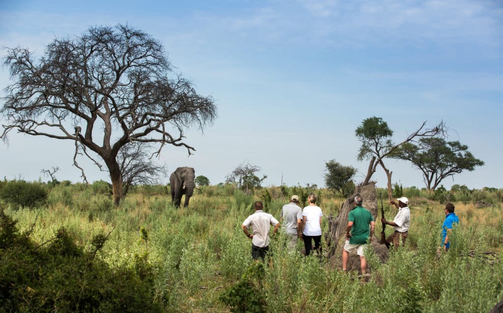 Gomoti Plains Camp — foto galleria 1