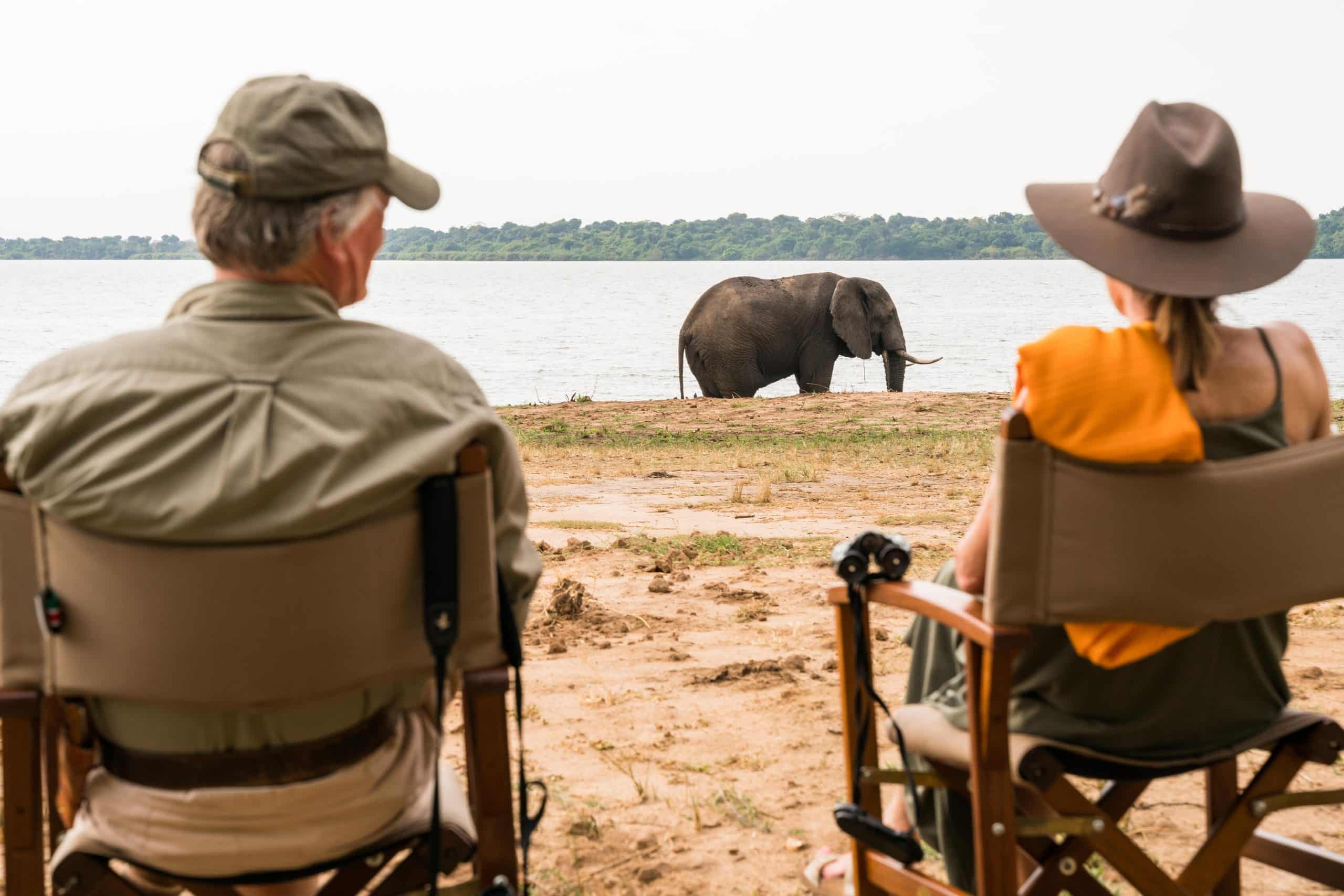 Honey Bear Bush Camp — foto galleria 3