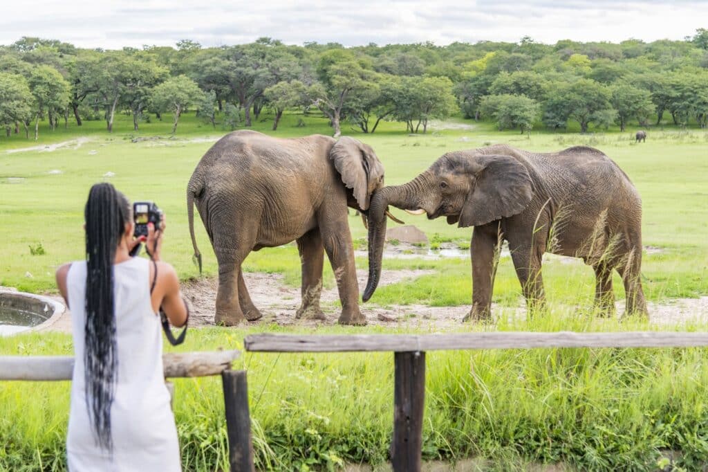 Hwange Safari Lodge — foto galleria 3